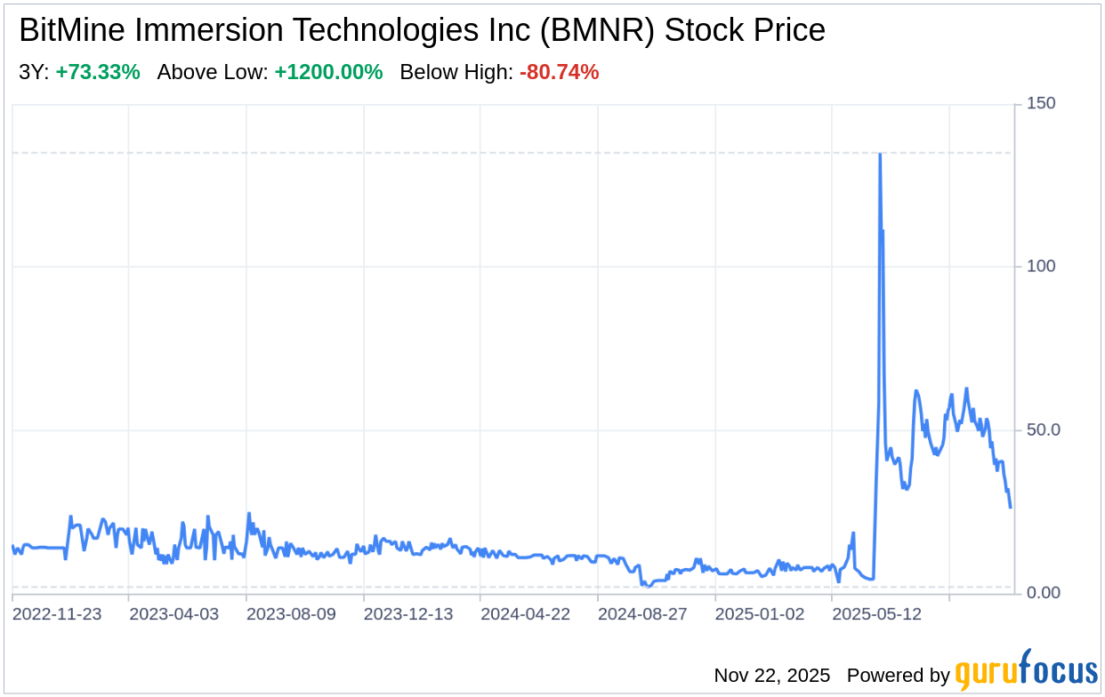 Decoding BitMine Immersion Technologies Inc (BMNR): A Strategic